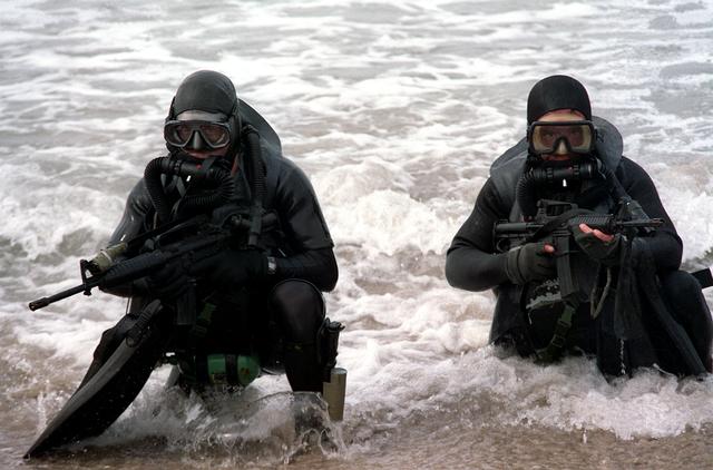 US Navy SEALs